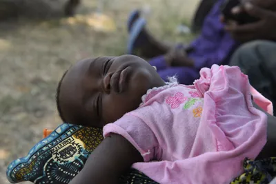 DSC_3279 (Large).JPG